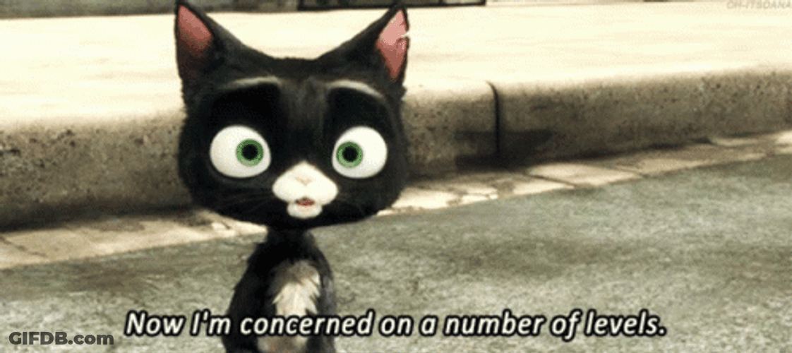 Concerned Bolt Disney Movie Mittens Black Cat GIF