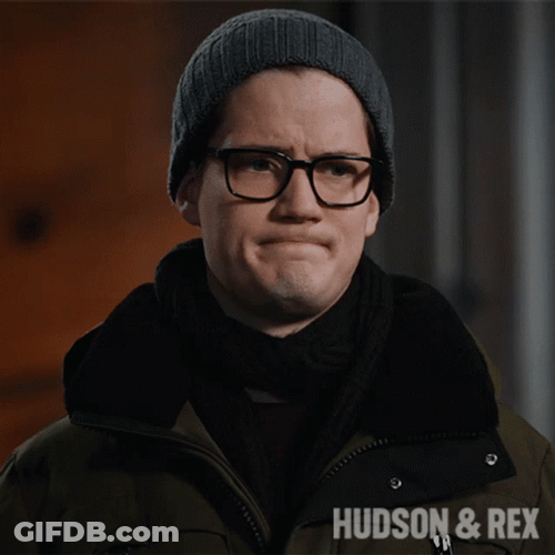Concerned Hudson And Rex Jesse Mills GIF