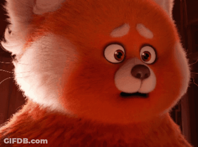 Concerned Turning Red 2022 Film Meilin Panda GIF