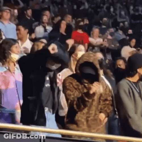 Concert Alan Walker GIF