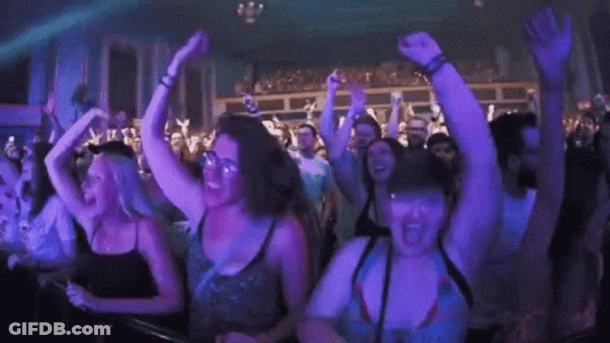 Concert Fans Crowd GIF