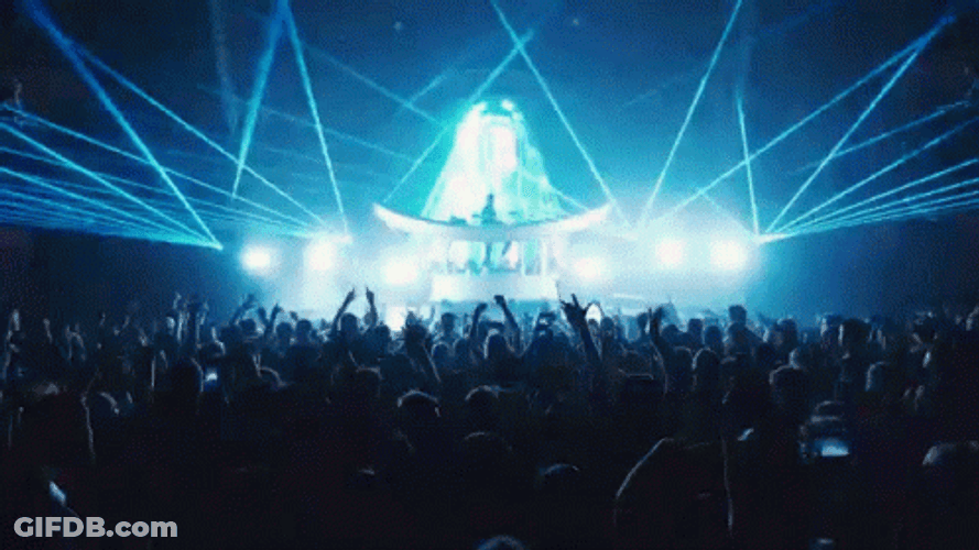 Concert Performing Live GIF