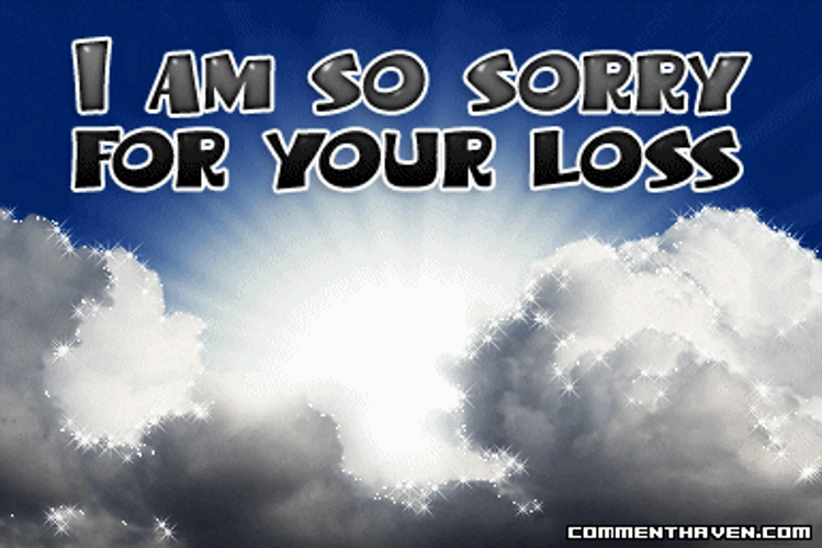 Condolence I Am So Sorry For Your Loss GIF