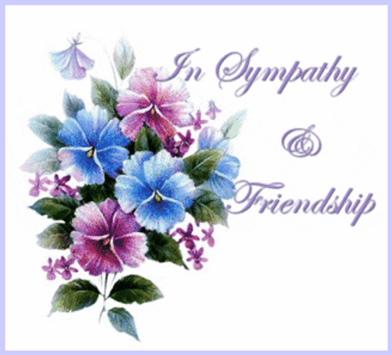 Condolence In Sympathy And Friendship GIF