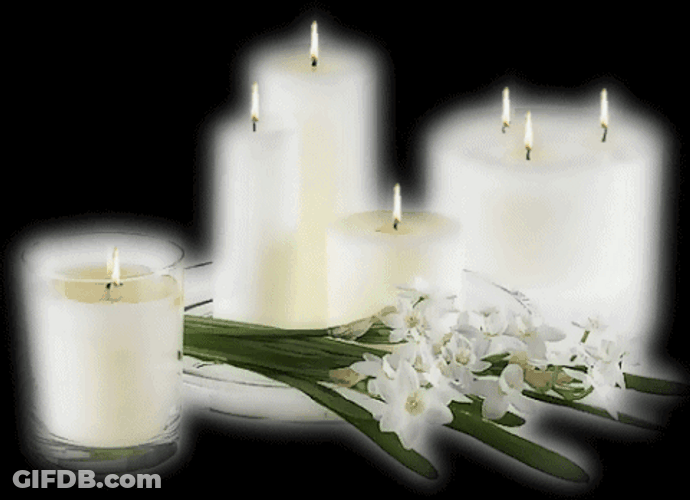 Condolence White Candles And Flowers GIF
