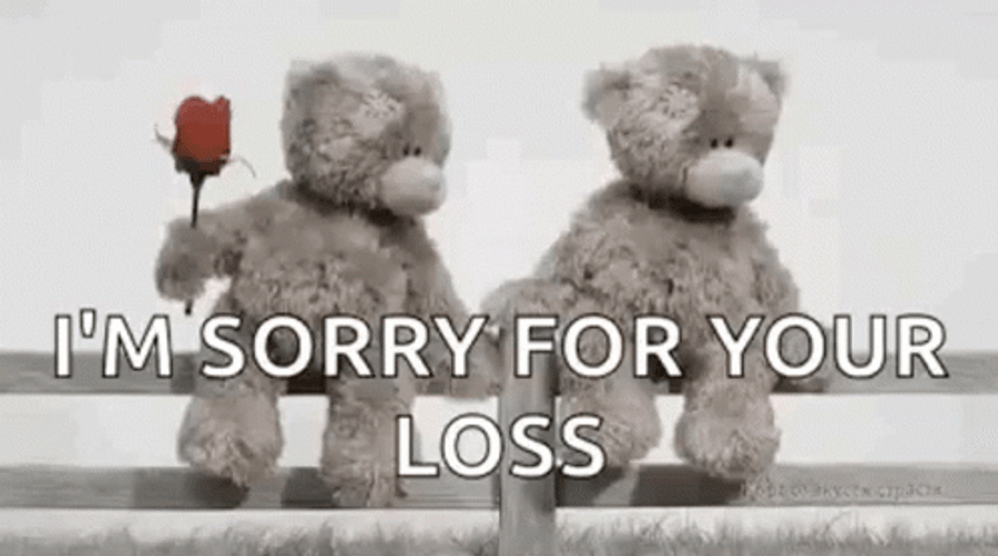 Condolences Teddy Bears Rose GIF