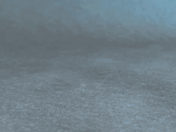 Confetti Splat Cupcake GIF