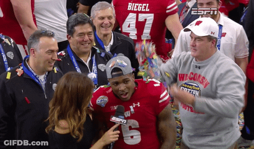 Confetti Wisconsin Badgers Celebration GIF