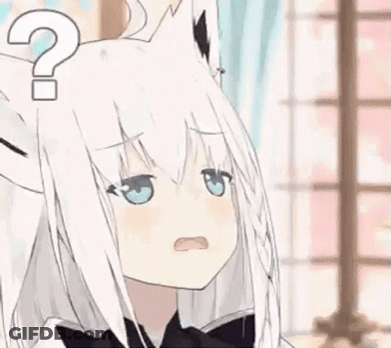 Confused Anime Cat Girl Shirakami Fubuki GIF