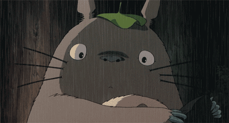 Confused Anime Totoro GIF
