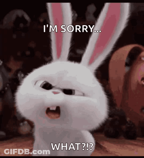Confused Bunny Says I'm Sorry What Meme GIF