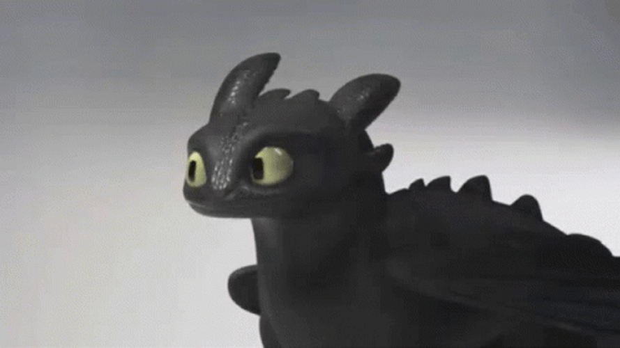 Confused Cartoon Toothless GIF