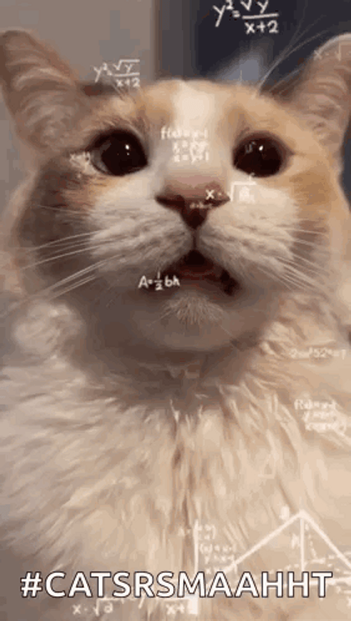 Confused Cat In Equation Math Meme GIF