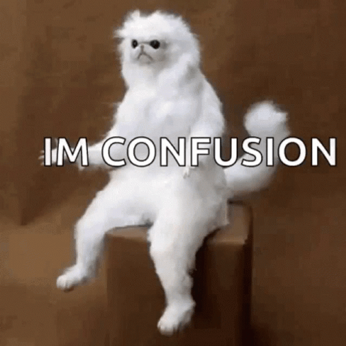 Confused Creepy Cat GIF