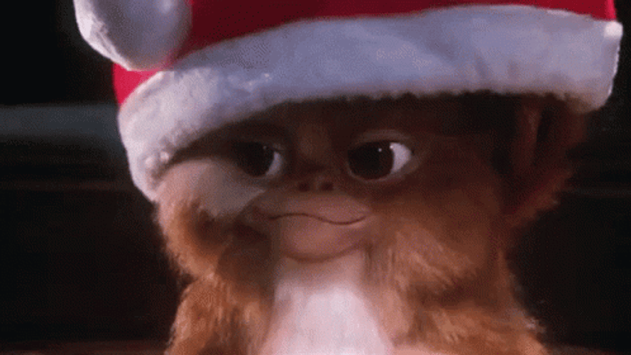 Confused Gizmo Gremlin GIF