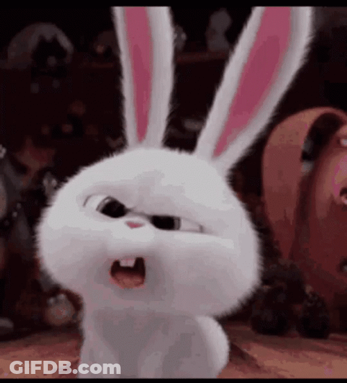Confused Look Fluffy Bunny GIF