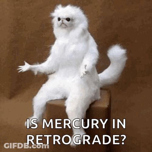 Confused Monkey Asking Is Mercury In Retrograde GIF
