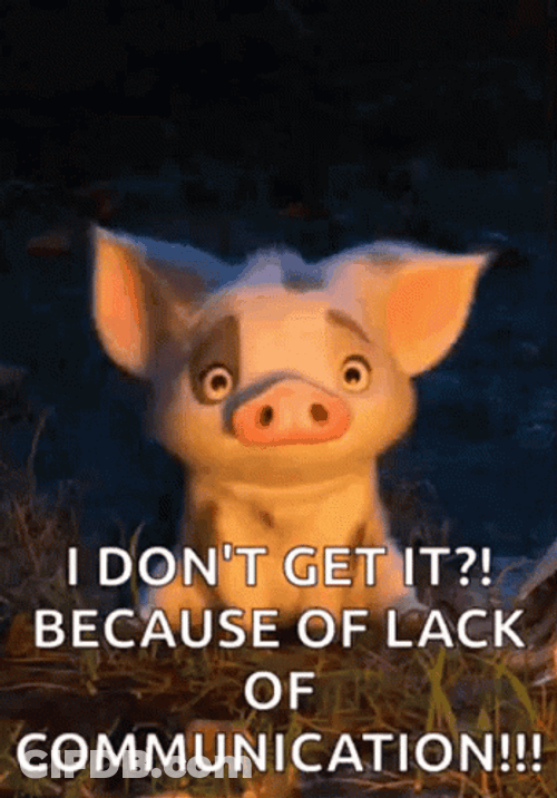 Confused Pig Lack Communication GIF