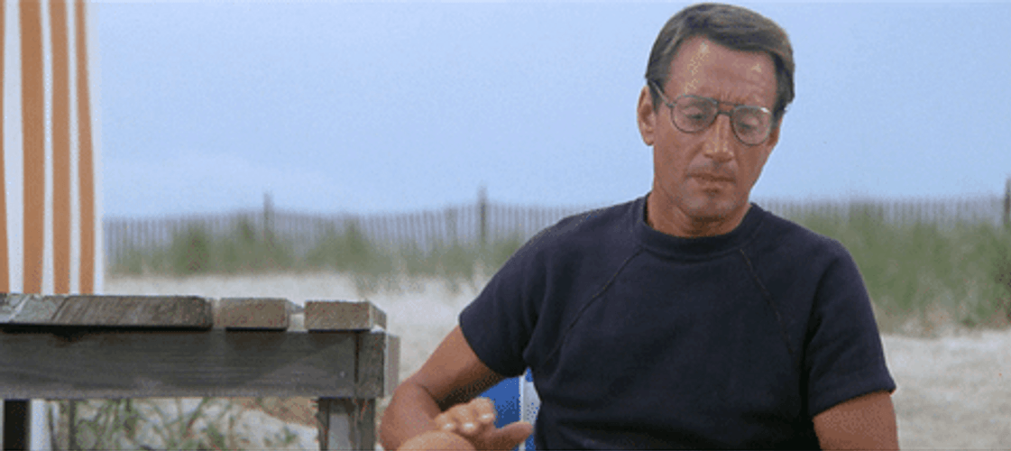 Confused Roy Scheider Jaws GIF