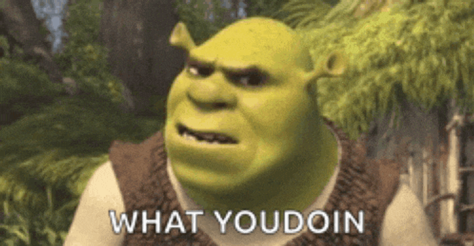 Confused Shrek Meme GIF