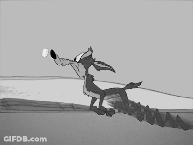 Confused Wile E Coyote Drowsy Floating GIF