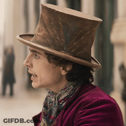 Confused Wonka Timothée Chalamet GIF