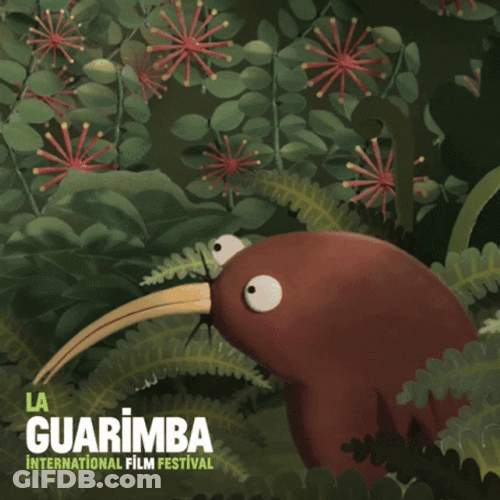 Confusion Kiwi Animal GIF