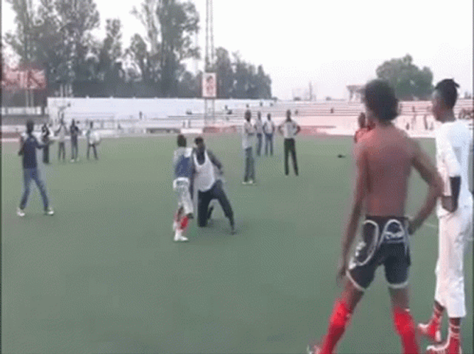 Congo Catch Fight Backflip Enfant Loup GIF