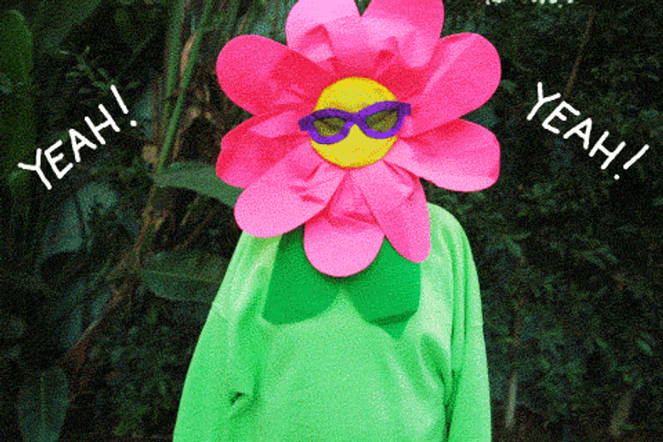Congrats You Did It Dancing Flowers Meme GIF