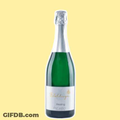 Congratulation Champagne Party Cheers GIF