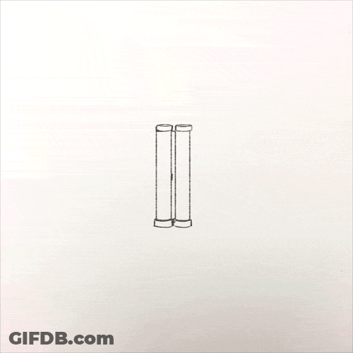 Congratulation Gold Fish GIF