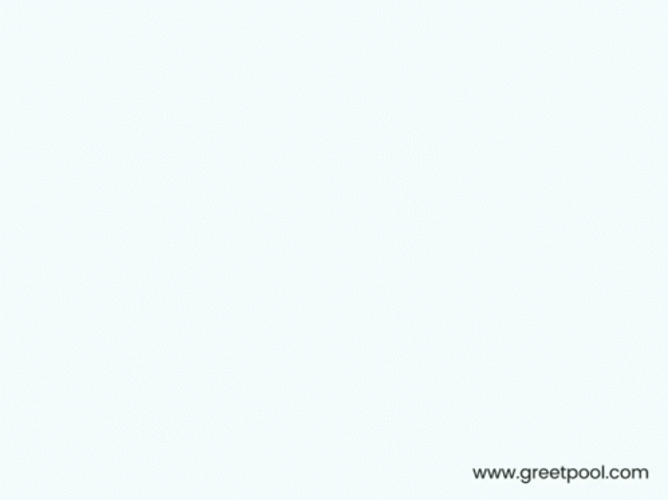Congratulations And Celebrations Of Baby Shower GIF