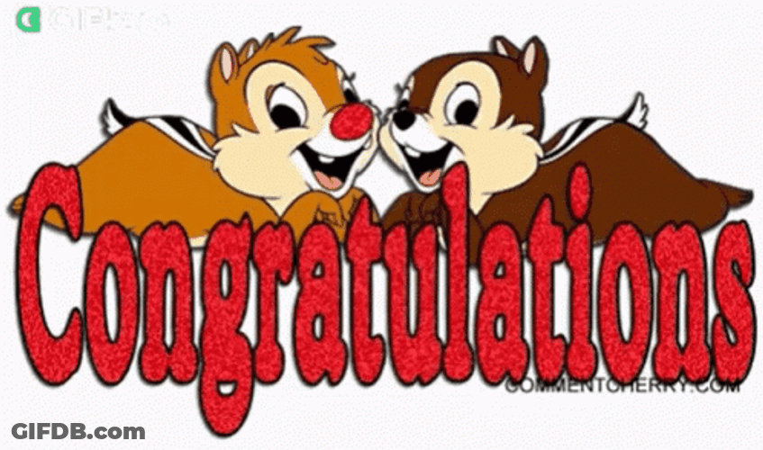 Congratulations Animated Chip N Dale GIF