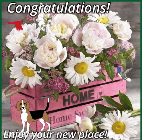 Congratulations Card With Flowers In Pink Crate GIF