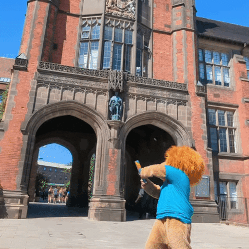 Congratulations Confetti Lion Mascot GIF