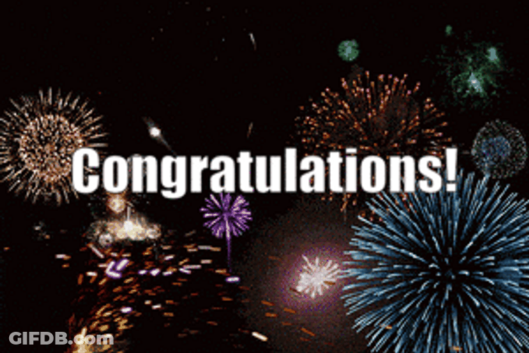 Congratulations Firework Display GIF