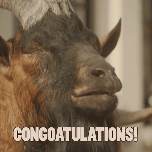 Congratulations Funny Goat Overbite GIF