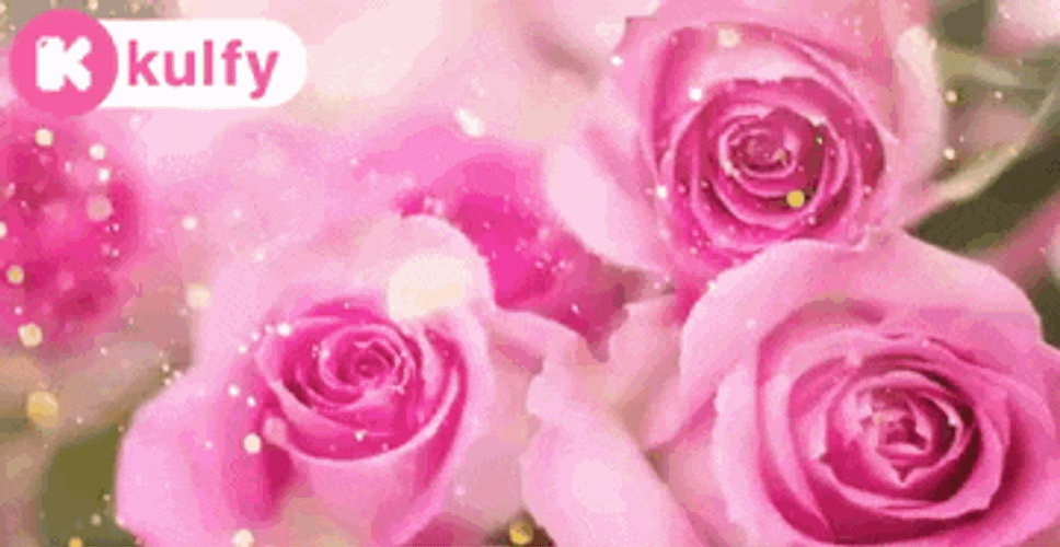 Congratulations.Gif GIF