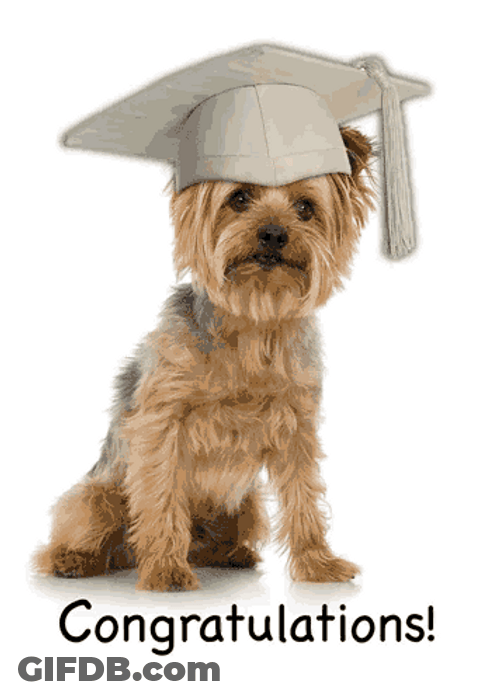 Congratulations Graduate Message GIF
