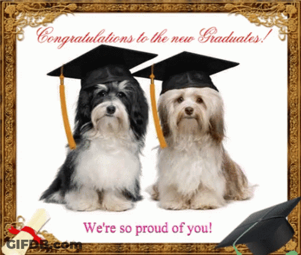 Congratulations Graduate Two Cute Dogs GIF