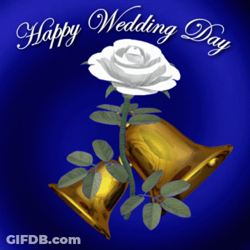 Congratulations Happy Wedding Day GIF