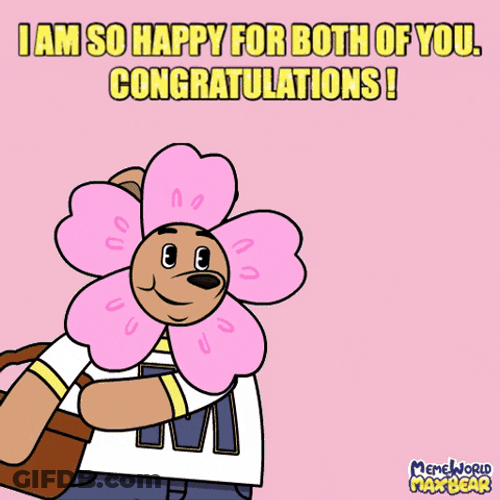 Congratulations Meme Flower Girl Bear GIF