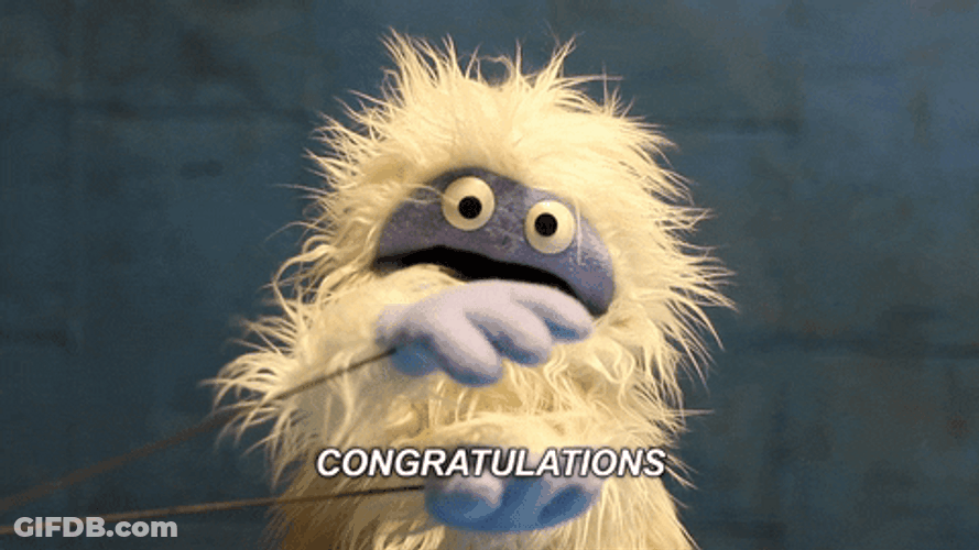 Congratulations Meme Puppet Bunch GIF