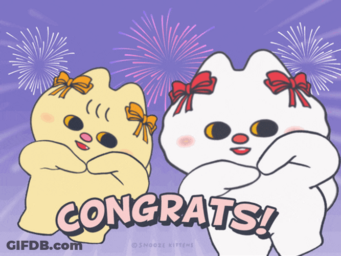 Congratulations Meme Snooze Kittens GIF