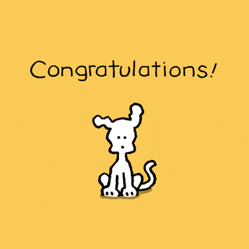 Congratulations On Your Engagement White Dog GIF