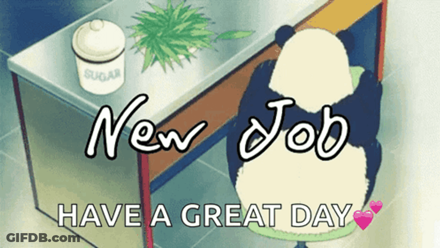 Congratulations On Your New Job Great Day GIF