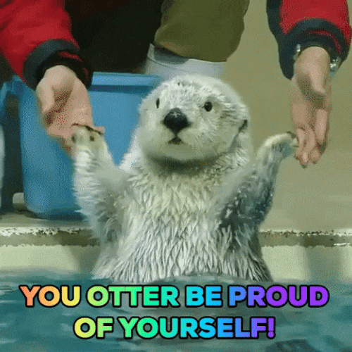 Congratulations On Your New Job Proud Of Yourself GIF
