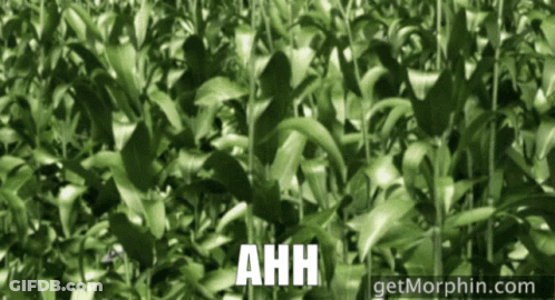 Congratulations So Happy For You From Veerle With Fireworks GIF