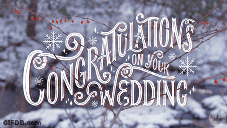 Congratulations Wedding Snowy GIF