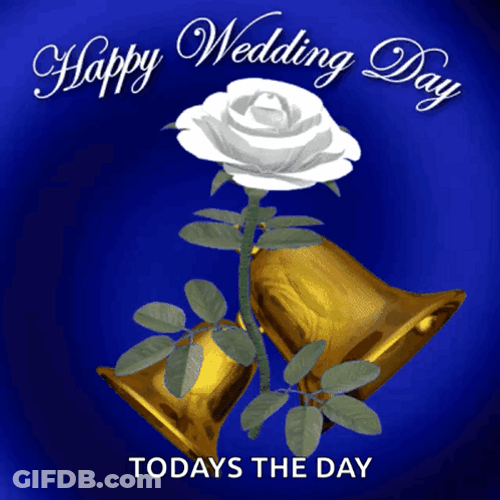 Congratulations Wedding White Rose Bell GIF